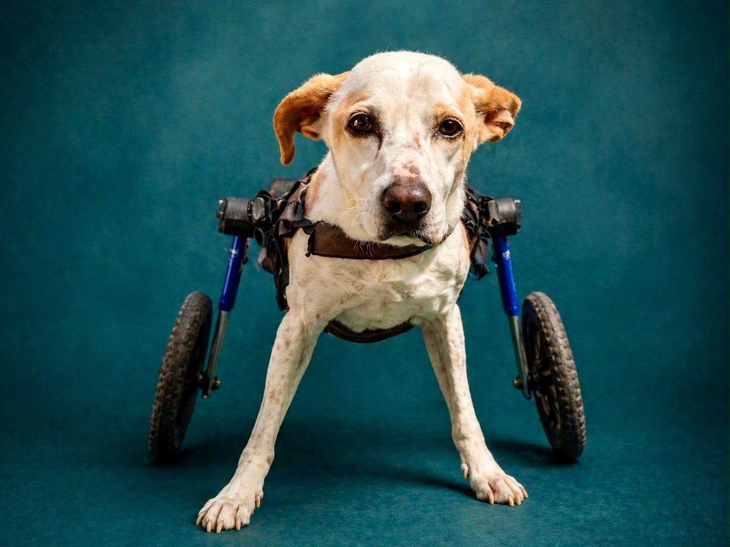 Marta standing with the support of her wheelchair